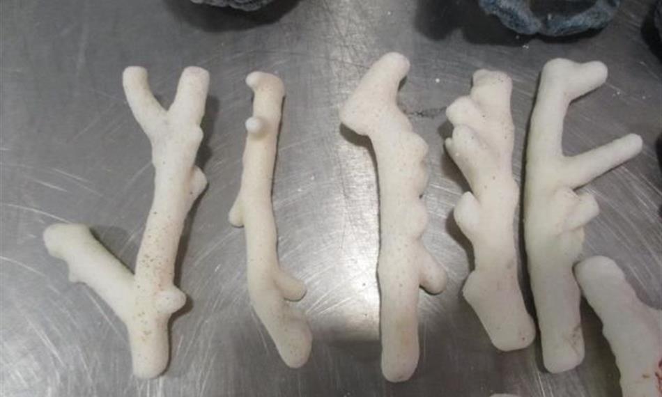 2017-10-16-1423foto 3.jpg